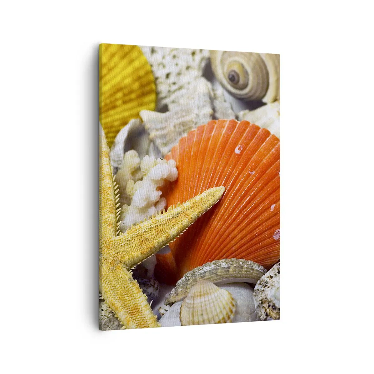 Schilderen op canvas - Oceaan schatten - 50x70 cm