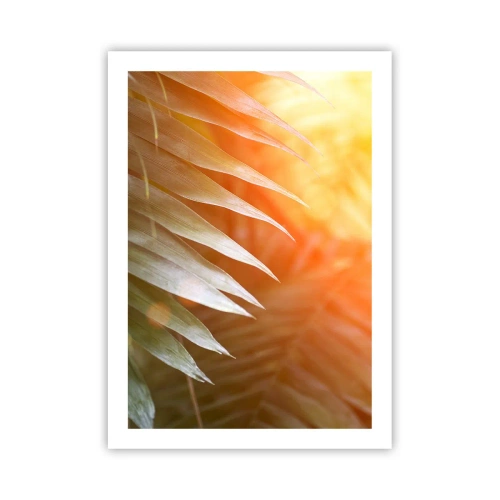 Poster - Ochtend in de jungle - 50x70 cm