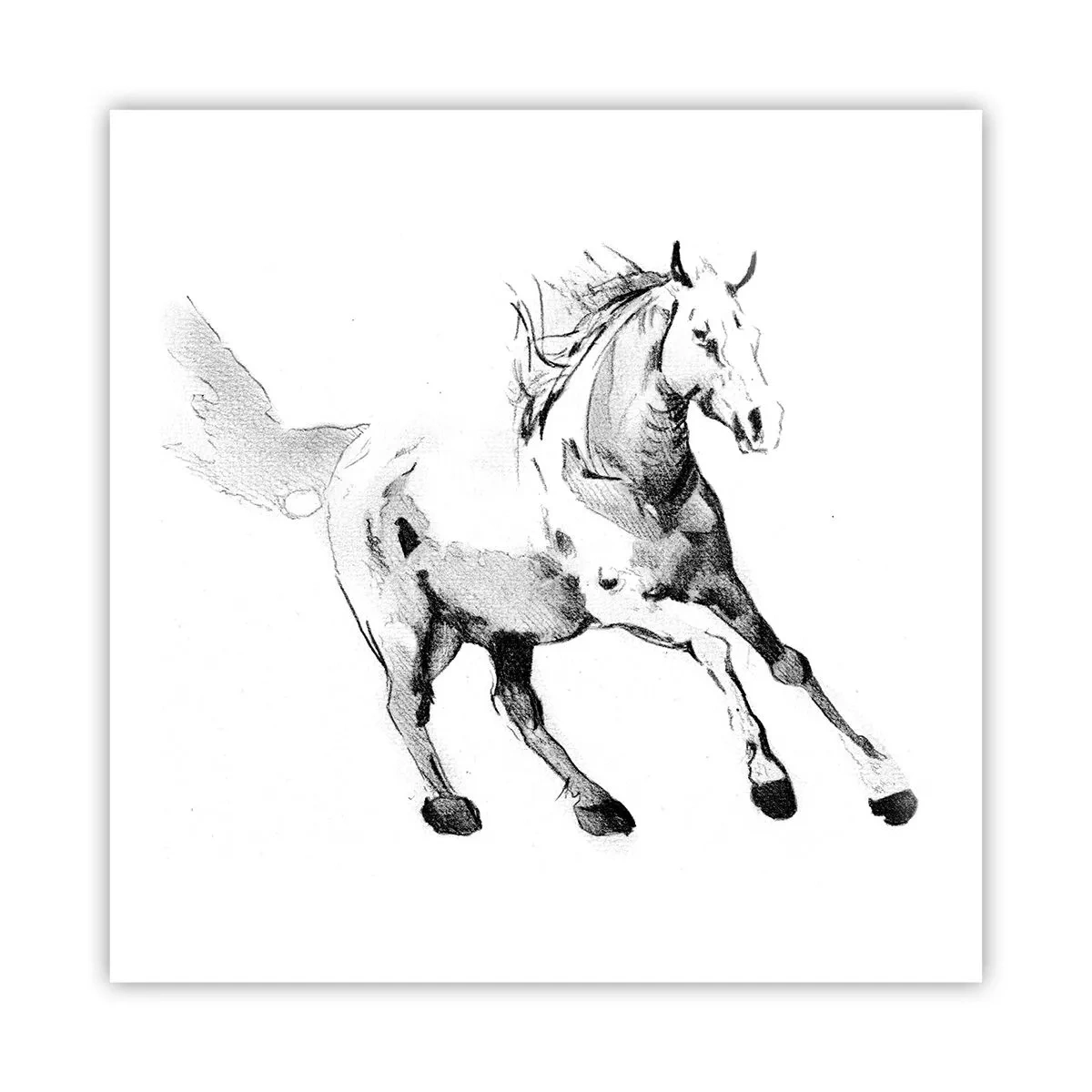 Poster - Ongetemde ziel - 60x60 cm