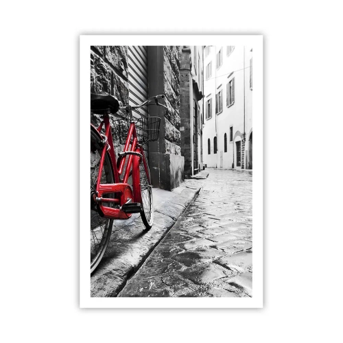 Poster - Echte schoonheid verveelt niet - 61x91 cm