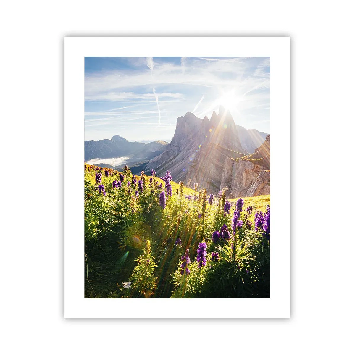 Poster - Het geheime leven van kruiden - 40x50 cm