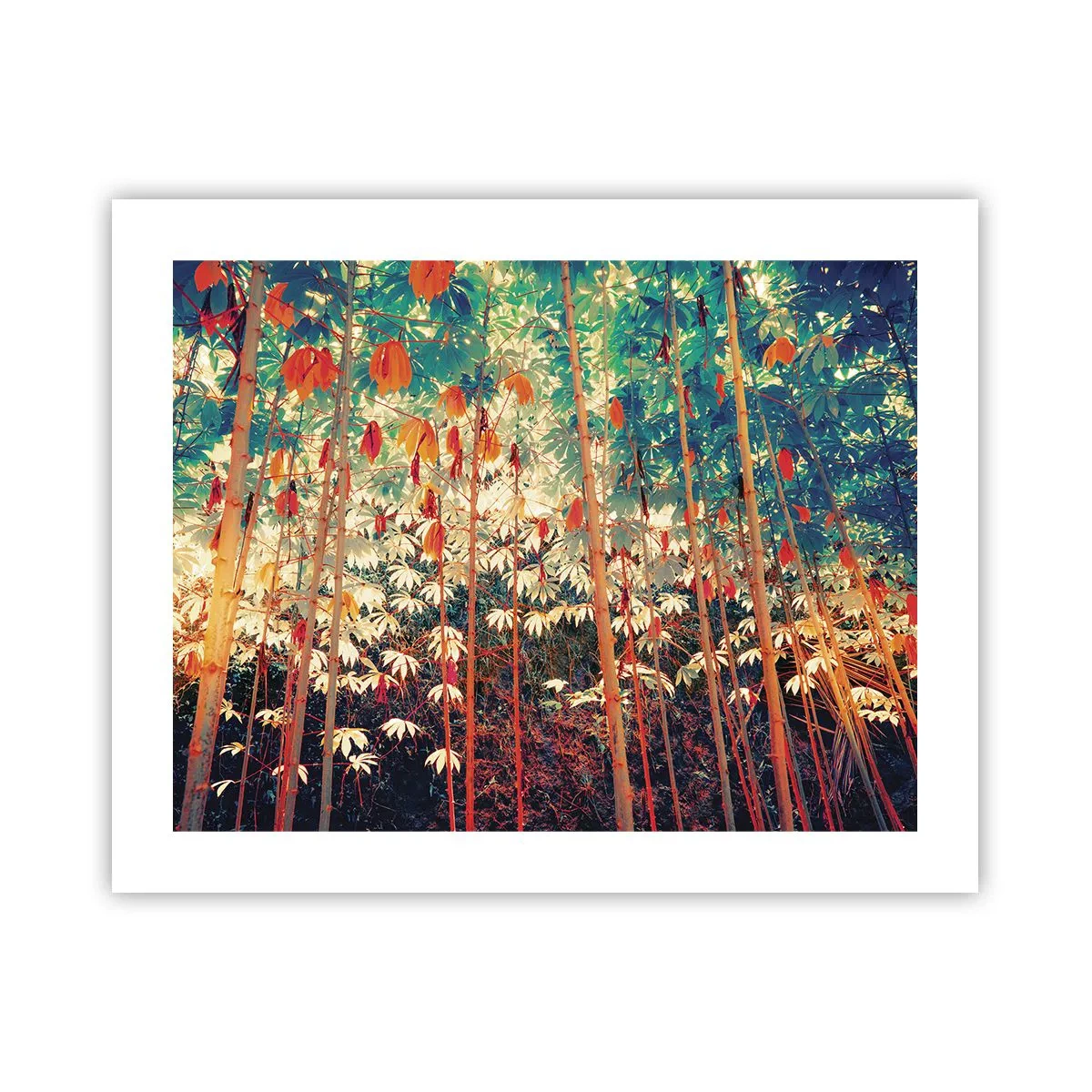 Poster - Het geheime leven van de bladeren - 50x40 cm