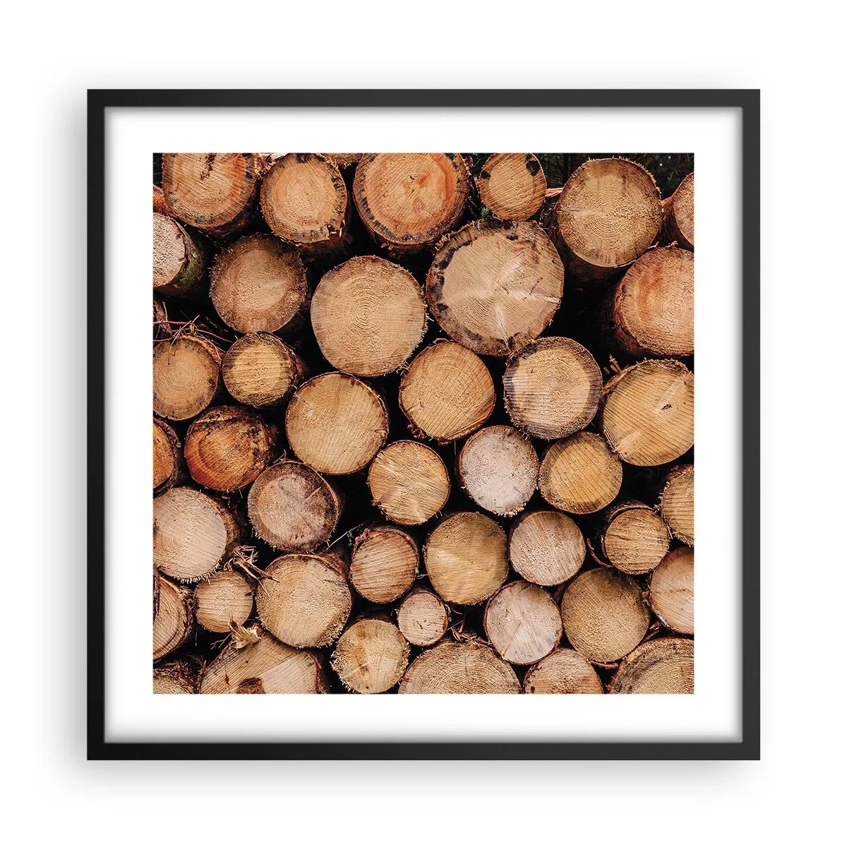 Poster in een zwarte lijst - Een nieuw begin - 50x50 cm