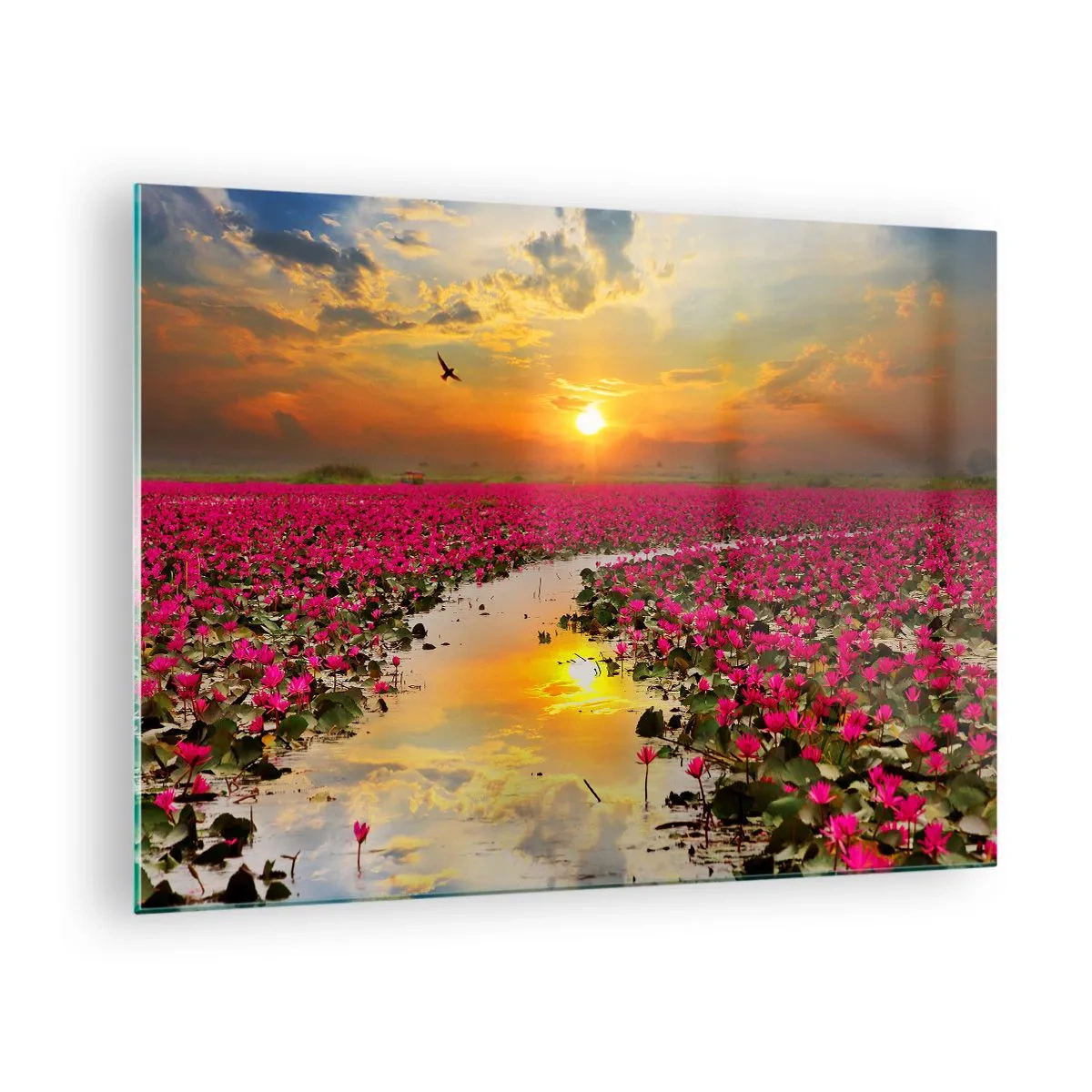 Schilderen op glas - Roze waterlelies op een meer bij zonsondergang - 70x50cm - Het geheime leven van het meer - Moderne wanddecoratie voor woonkamer en slaapkamer ARTTOR