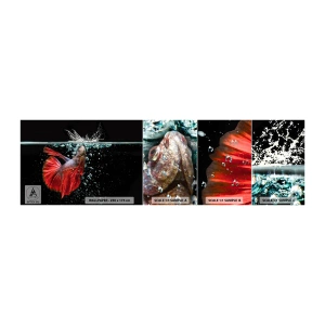 Fotobehang Monster Zelfklevend Deluxe Sticker - Je hebt drie wensen - Abstractie, Aquarium, Vis - 100x30 cm