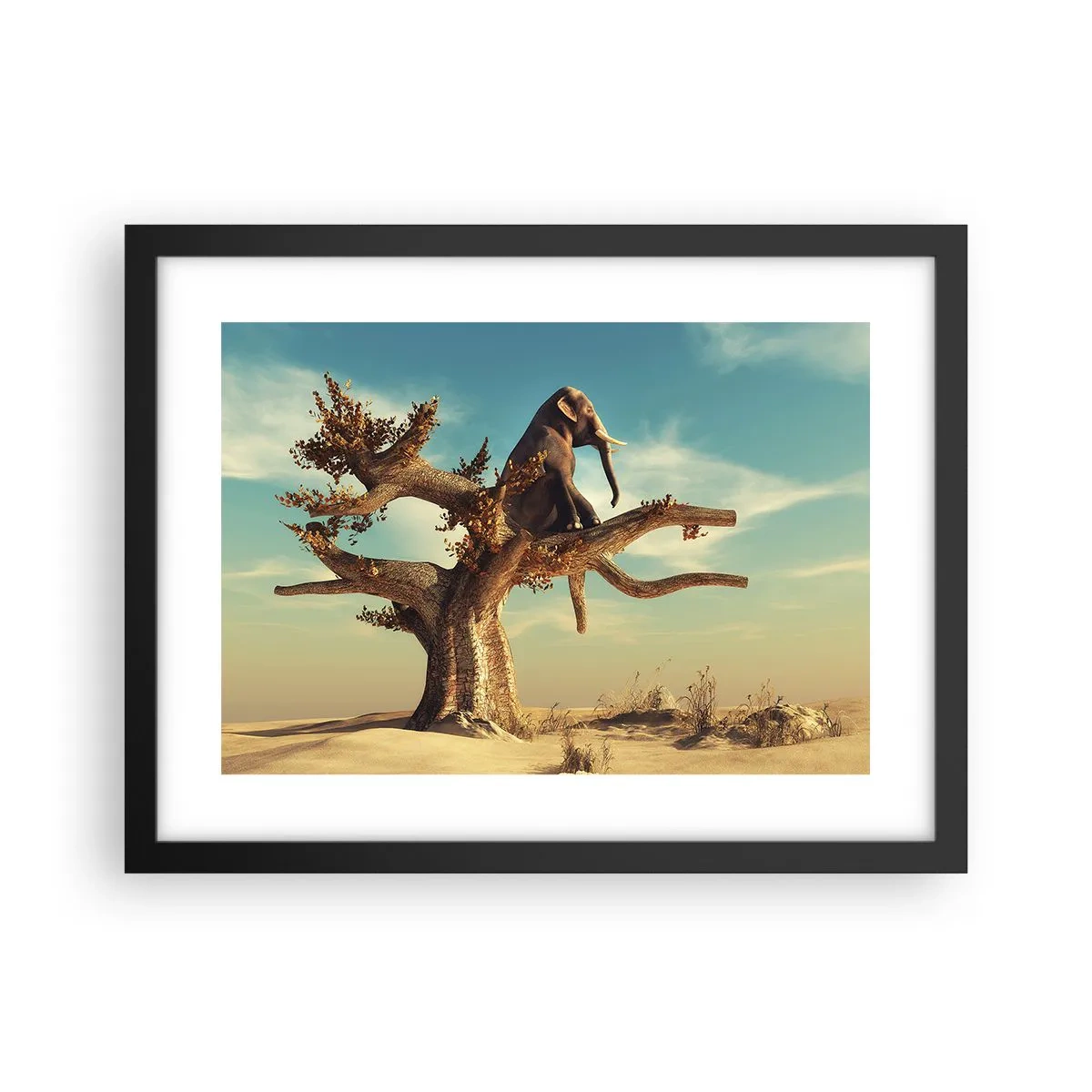 Poster in een zwarte lijst - Een nieuw gezichtspunt - 40x30 cm