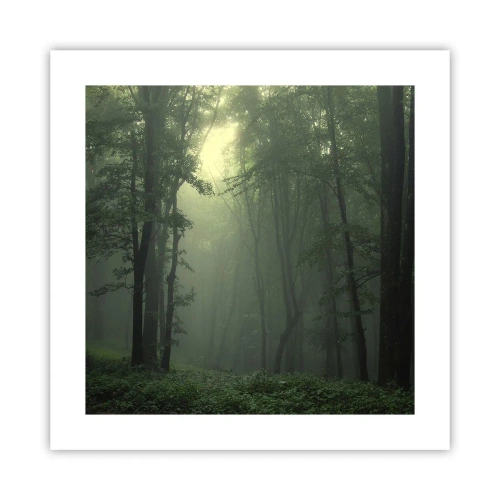 Poster - Voordat hij wakker wordt - 40x40 cm