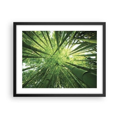 Poster in een zwarte lijst - In een bamboebos - 50x40 cm