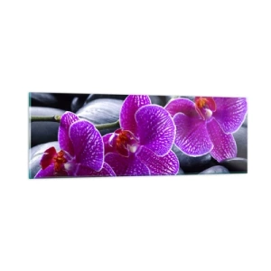 Schilderen op glas - De stenen gloeiden van verrukking - 90x30 cm