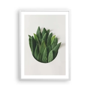 Poster in een witte lijst - Ongebreidelde nieuwsgierigheid - 50x70 cm