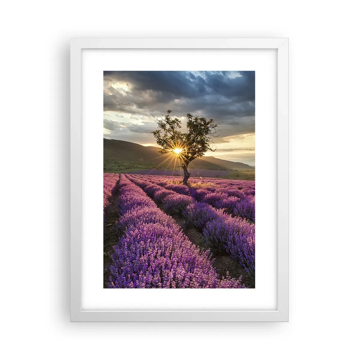 Poster in een witte lijst - Lila gekleurd aroma - 30x40 cm