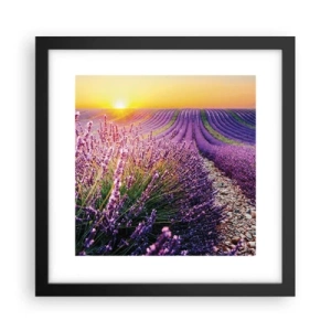 Poster in een zwarte lijst - Geurige korenvelden - 30x30 cm