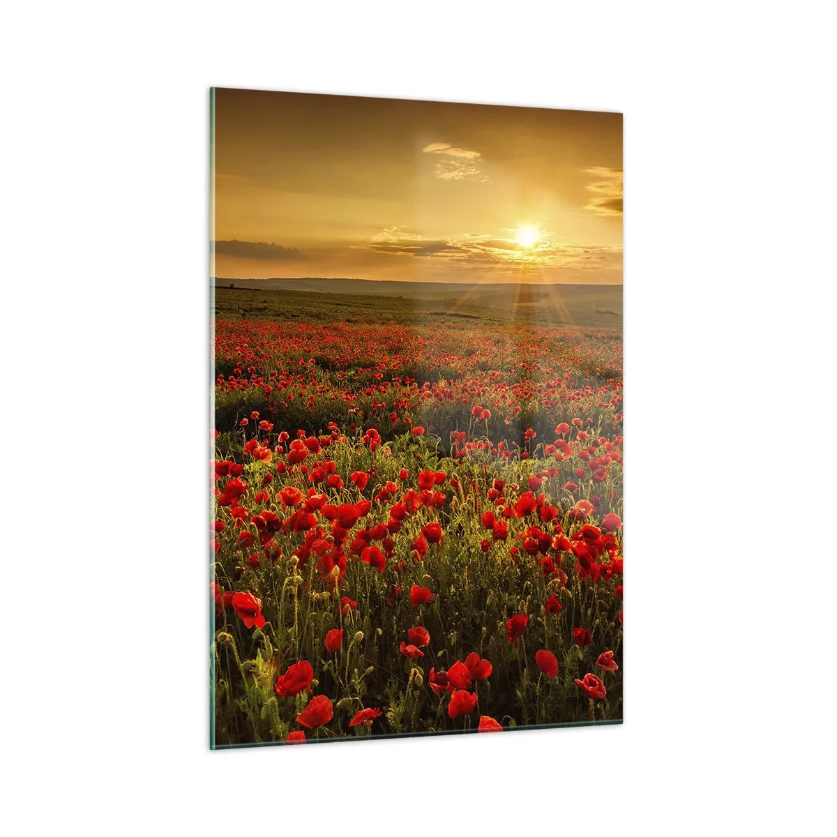 Schilderen op glas - Tussen de golven van ruisende weiden, tussen de bloemen van de vloed - 50x70 cm