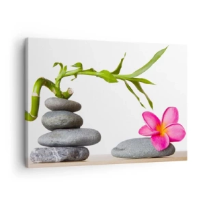Schilderen op canvas - Bamboe en roze bloem op zen-stijl stenen - 70x50cm - Kleuren van leven en duur - Moderne wanddecoratie voor woonkamer en slaapkamer ARTTOR