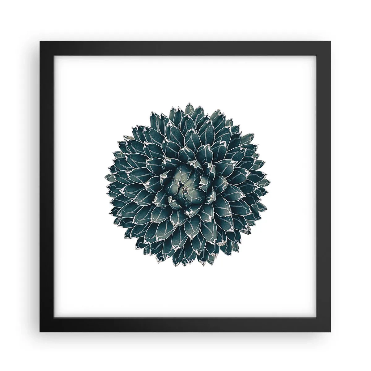 Poster in een zwarte lijst - De ster van de woestijn - 30x30 cm