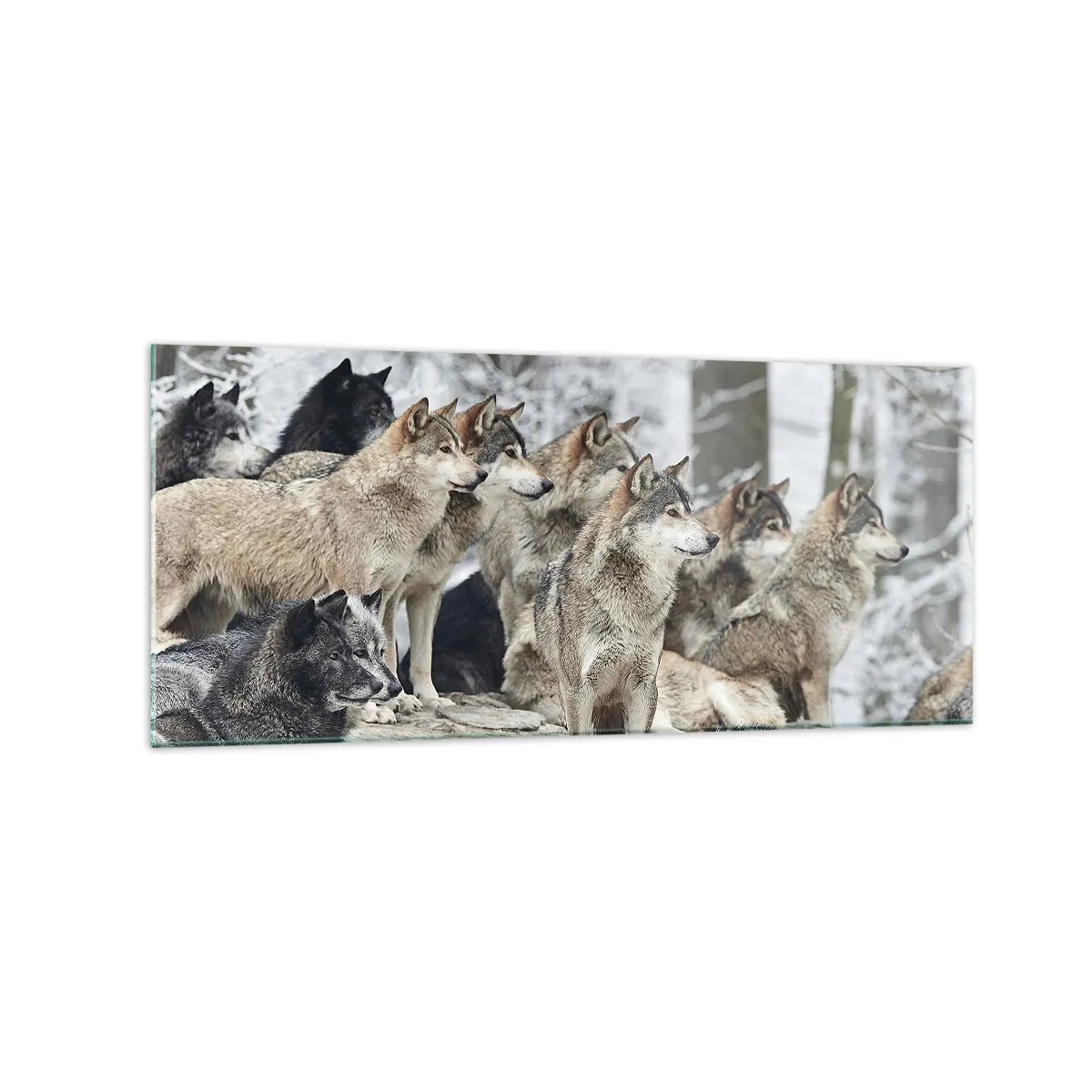 Schilderen op glas - Familie en vrienden - 120x50 cm