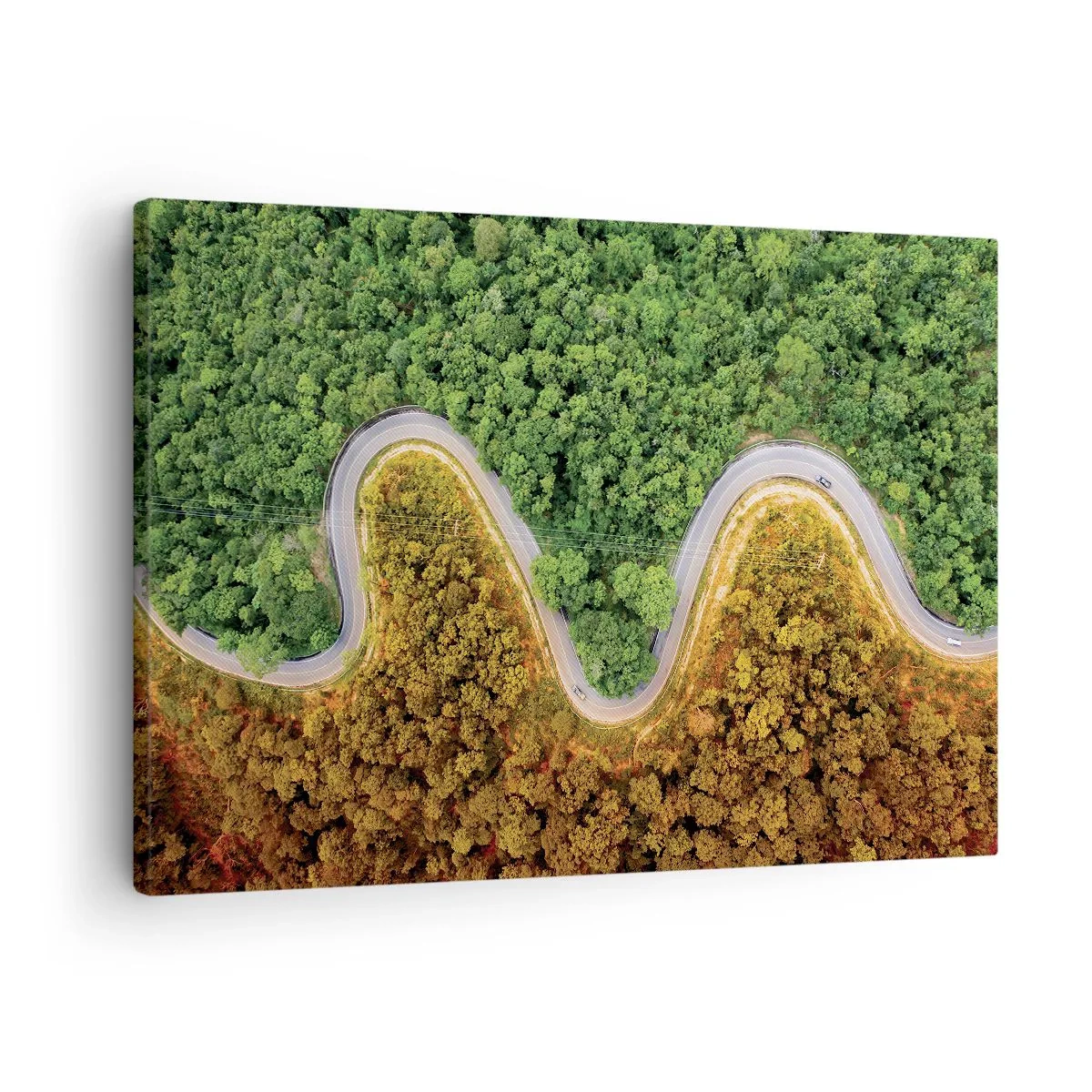 Schilderen op canvas - Grenzen en doorbraken - 70x50 cm