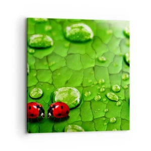 Schilderen op canvas - Ontmoeting in het groen - 70x70 cm