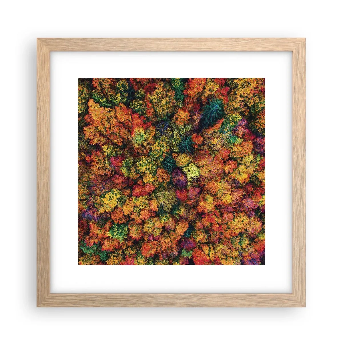 Een poster in een licht eiken lijst - Boeket herfstbomen - 30x30 cm