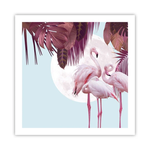 Poster - Drie vogel genaden - 60x60 cm