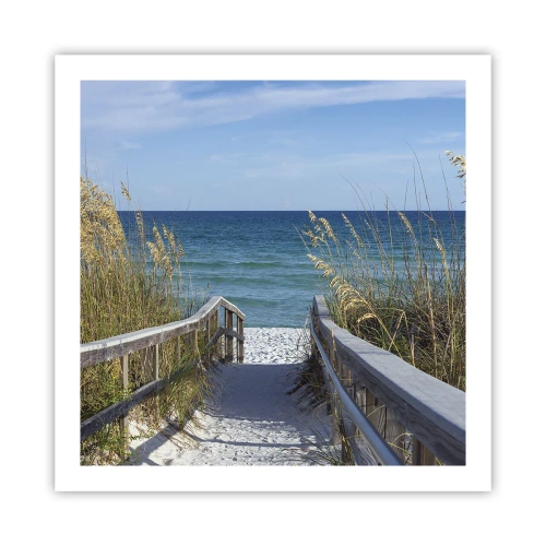 Poster - In de zon, in de wind - 60x60 cm