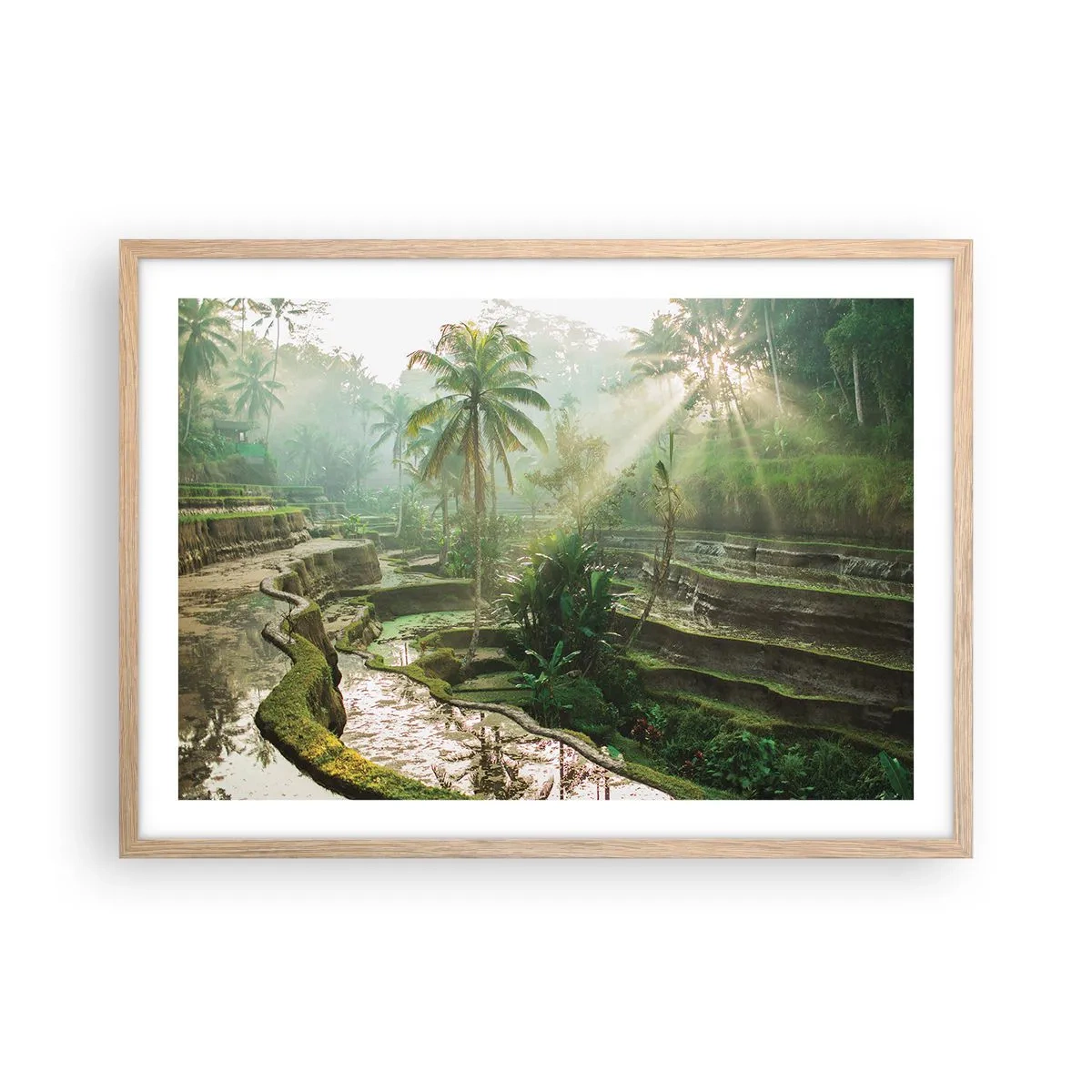 Een poster in een licht eiken lijst - Opgroeien in de zon - 70x50 cm