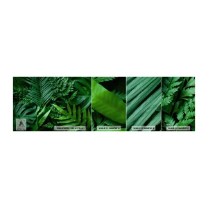 Fotobehang Monster Zelfklevend Deluxe Sticker - Ineengedoken in het groen - Exotische plant, Palmblad, Monstera-blad - 100x30 cm