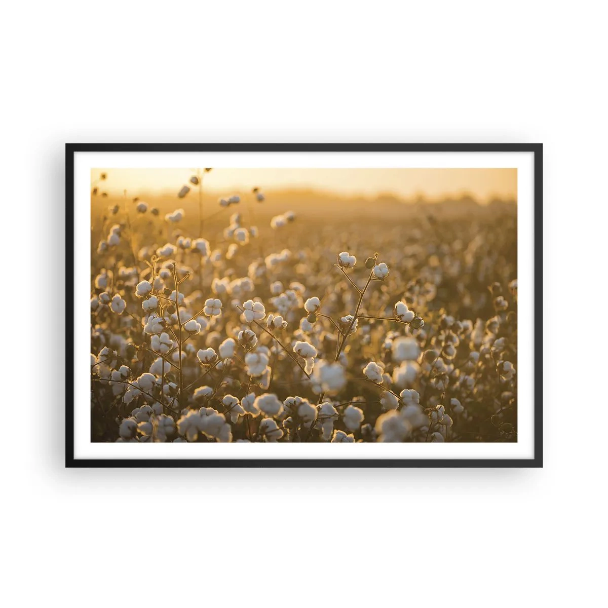 Poster in een zwarte lijst - Pluizig veld - 91x61 cm