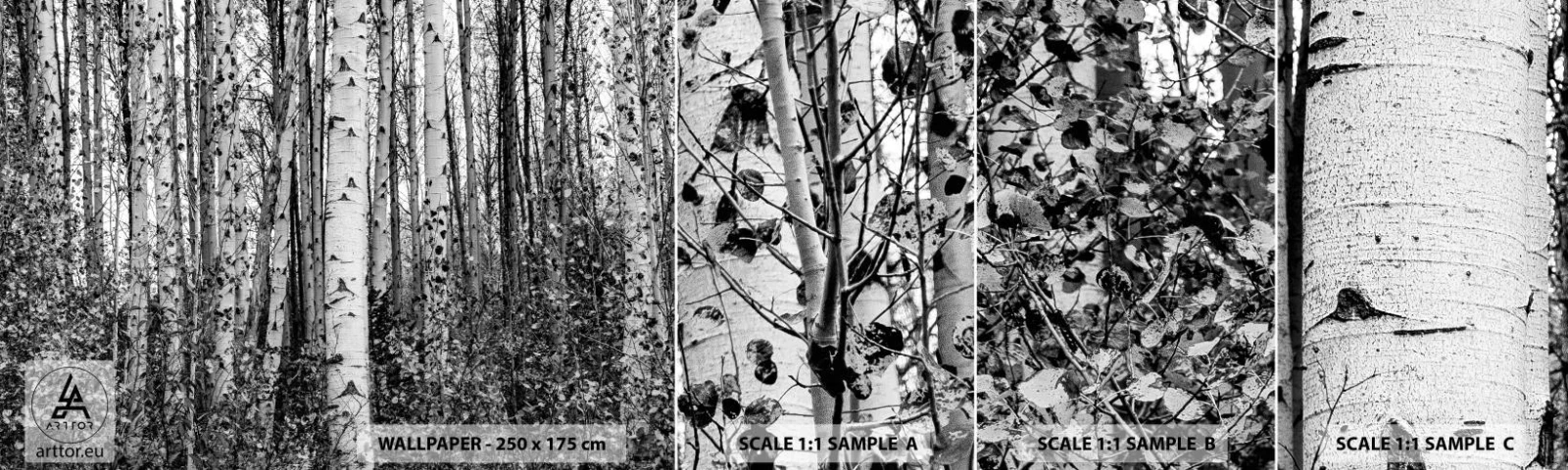 Fotobehang Monster Zelfklevend Deluxe Sticker - Berken colonnade - Woud, Berk, Natuur - 100x30 cm