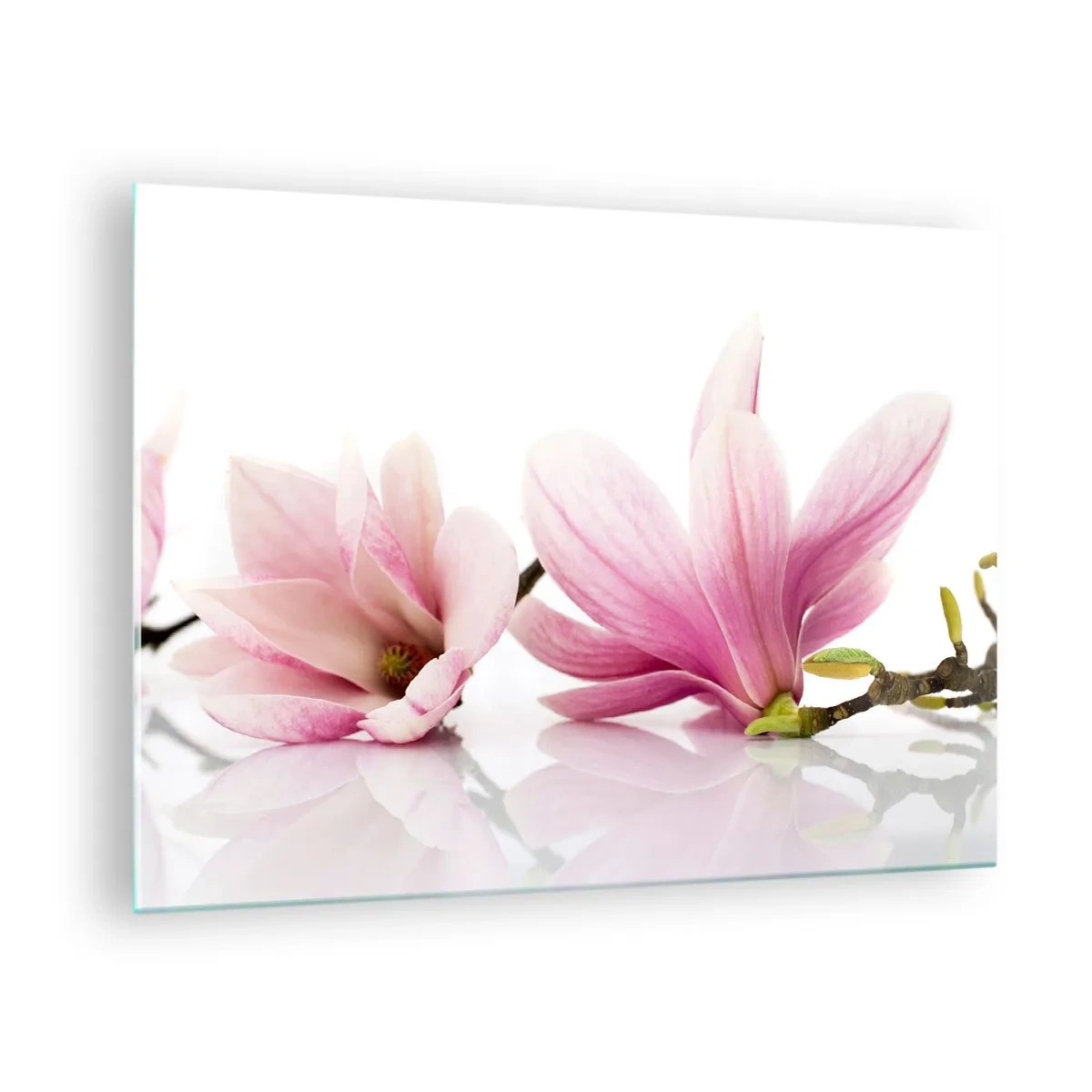 Schilderen op glas - Delicate magnoliabloemen op een witte achtergrond - 70x50cm - Delicaat als een lentebriesje - Moderne wanddecoratie voor woonkamer en slaapkamer ARTTOR