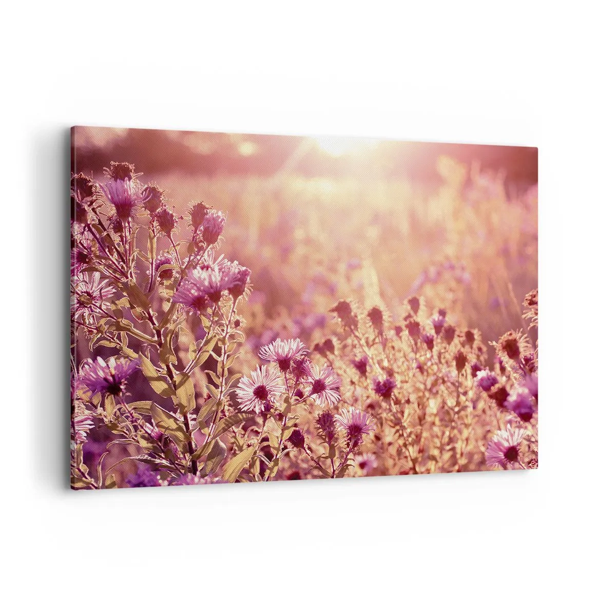 Schilderen op canvas - Voordat de zomer voorbij is - 120x80 cm