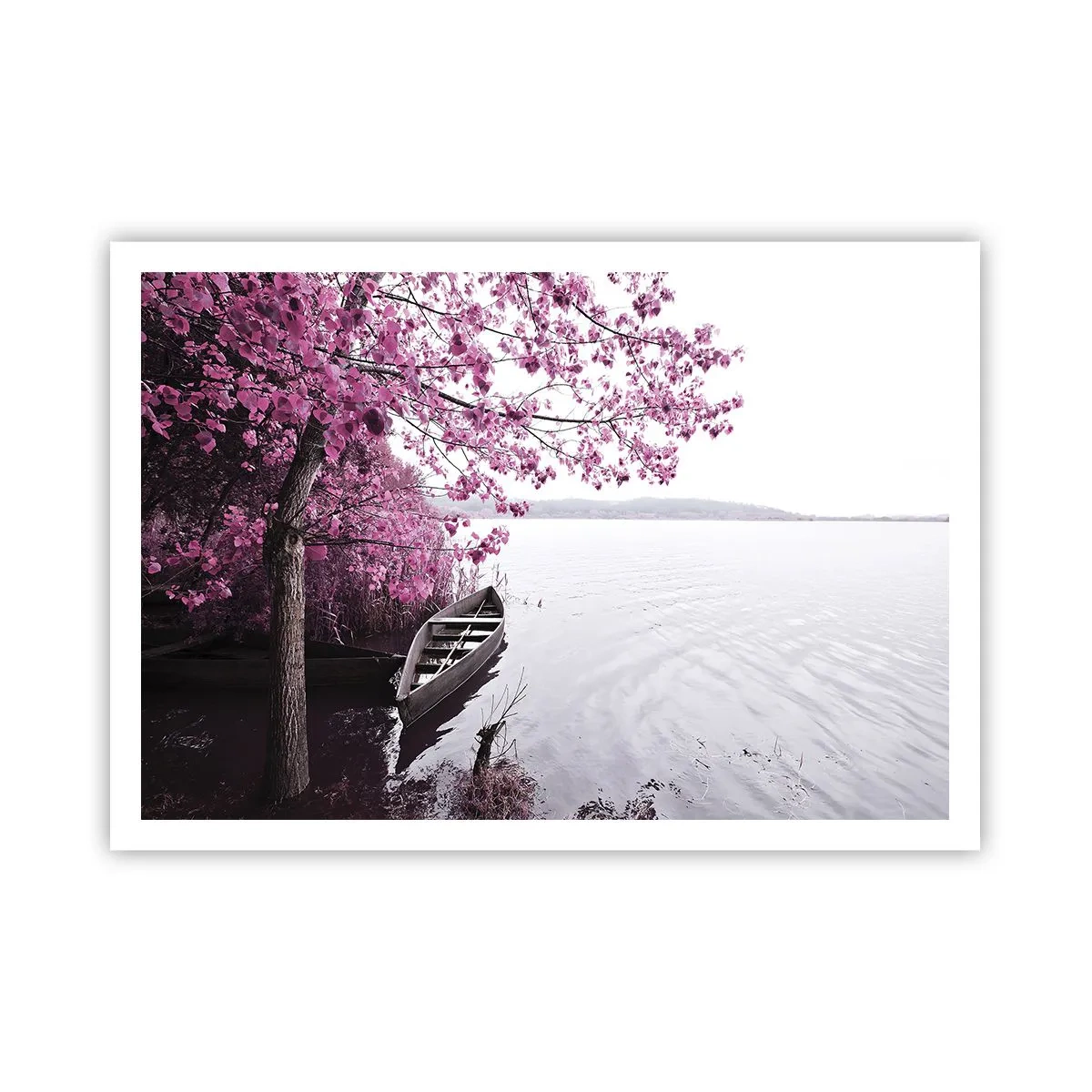 Poster - In roze stilte - 100x70 cm