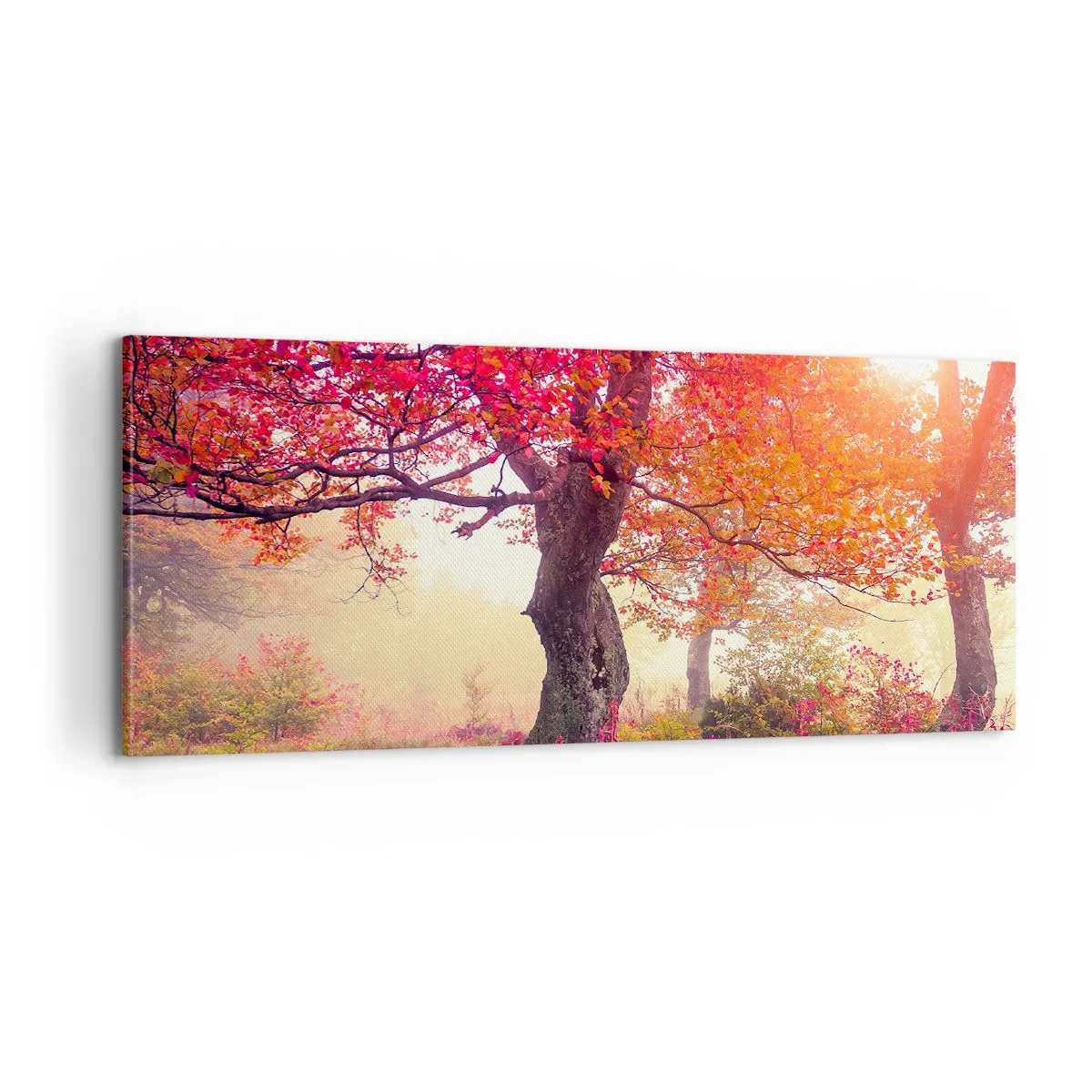 Schilderen op canvas - Bloeiende razernij - 100x40 cm