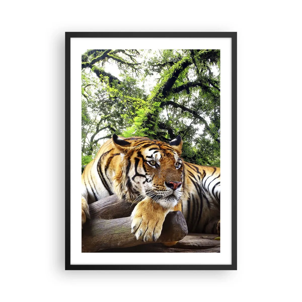 Poster in een zwarte lijst - Een tijger die rust tussen de groene bomen - 50x70cm - Met vriendelijke groet - Moderne wanddecoratie voor woonkamer en slaapkamer ARTTOR