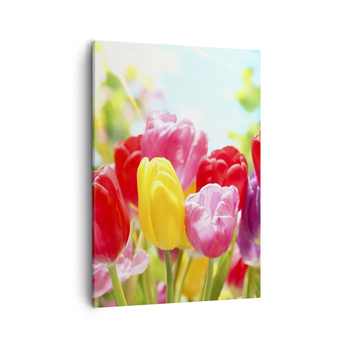 Schilderen op canvas - Dat zijn wij, de kleuren van mei! - 50x70 cm