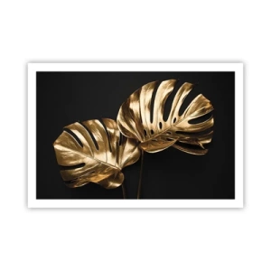 Poster - De schatten van de natuur - 91x61 cm