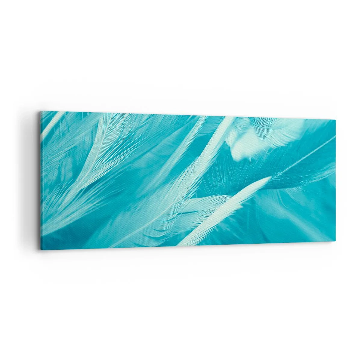 Schilderen op canvas - Verdrinken in pluisjes - 120x50 cm