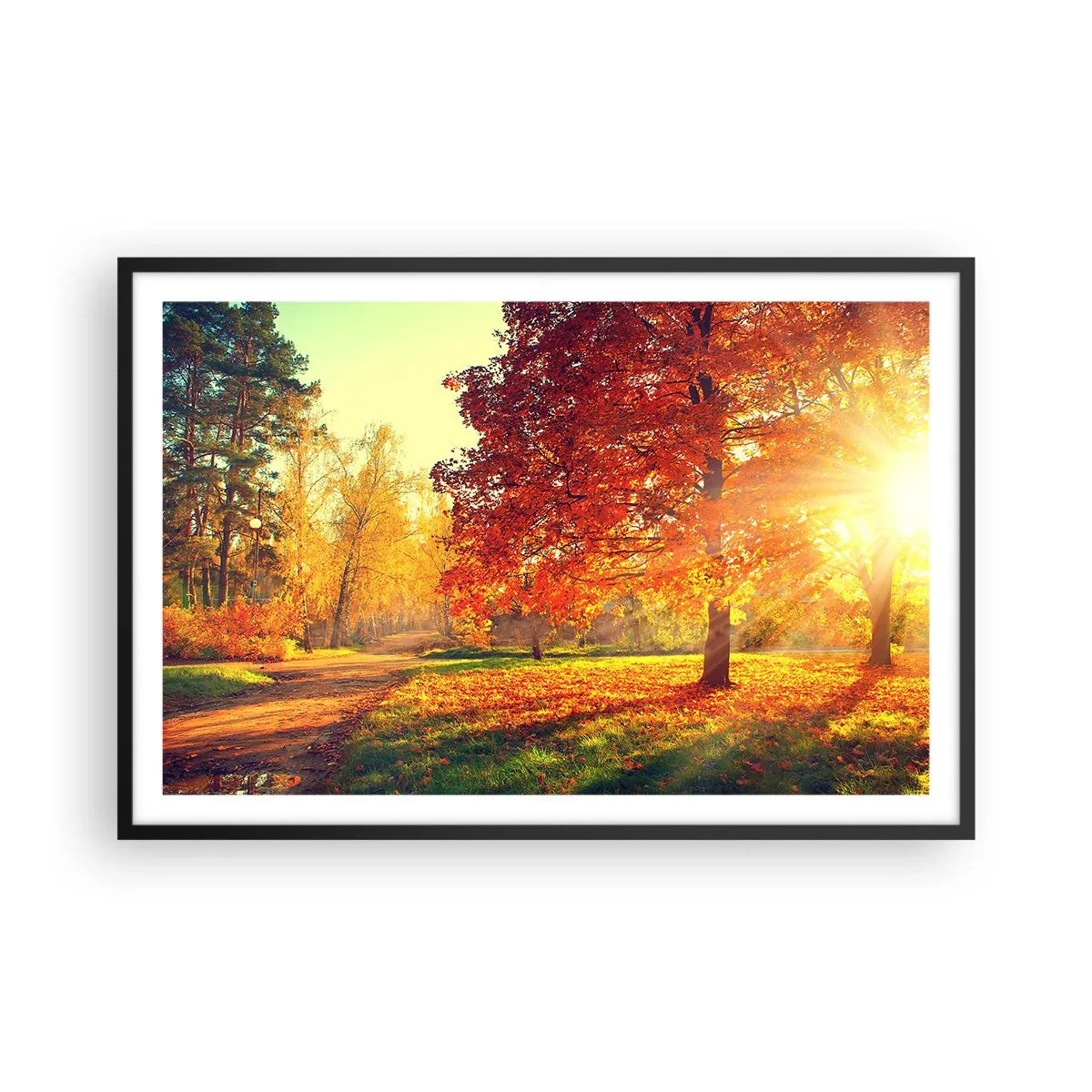 Poster in een zwarte lijst - Rood is mooi - 91x61 cm