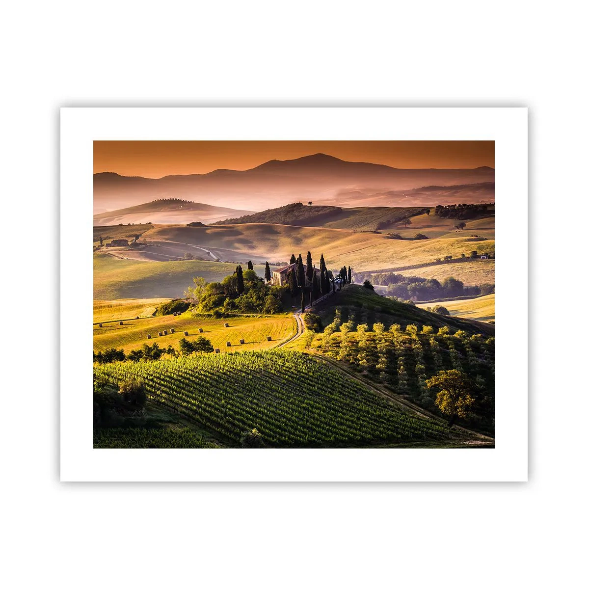 Poster - Arcadia - het Toscaanse landschap - 50x40 cm