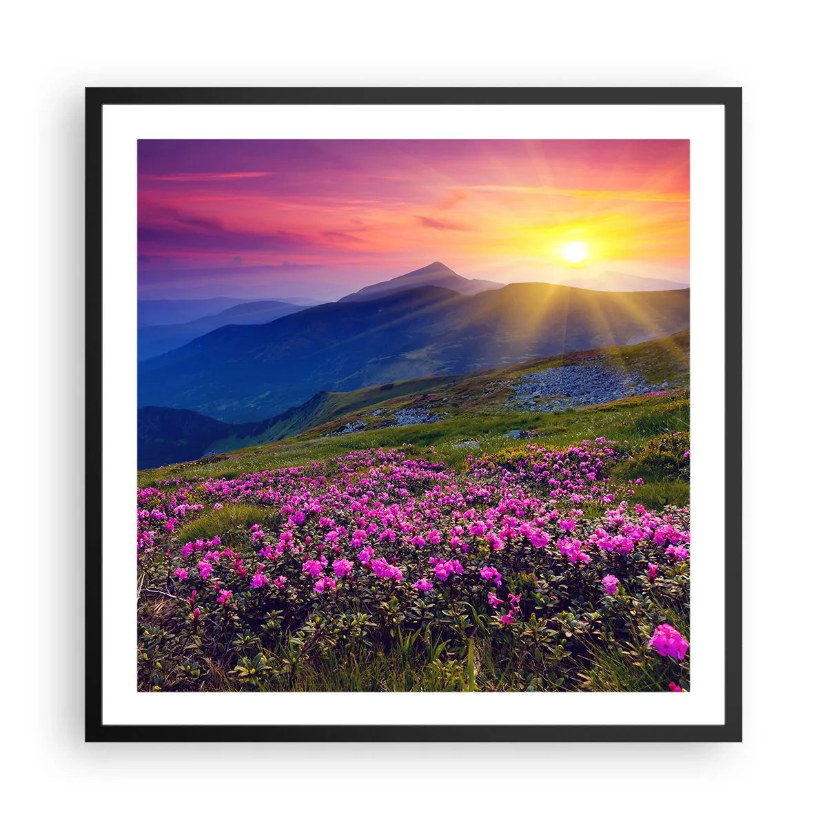 Poster in een zwarte lijst - … En eromheen ruikt het naar bergdennen en de geur van kruiden - 60x60 cm