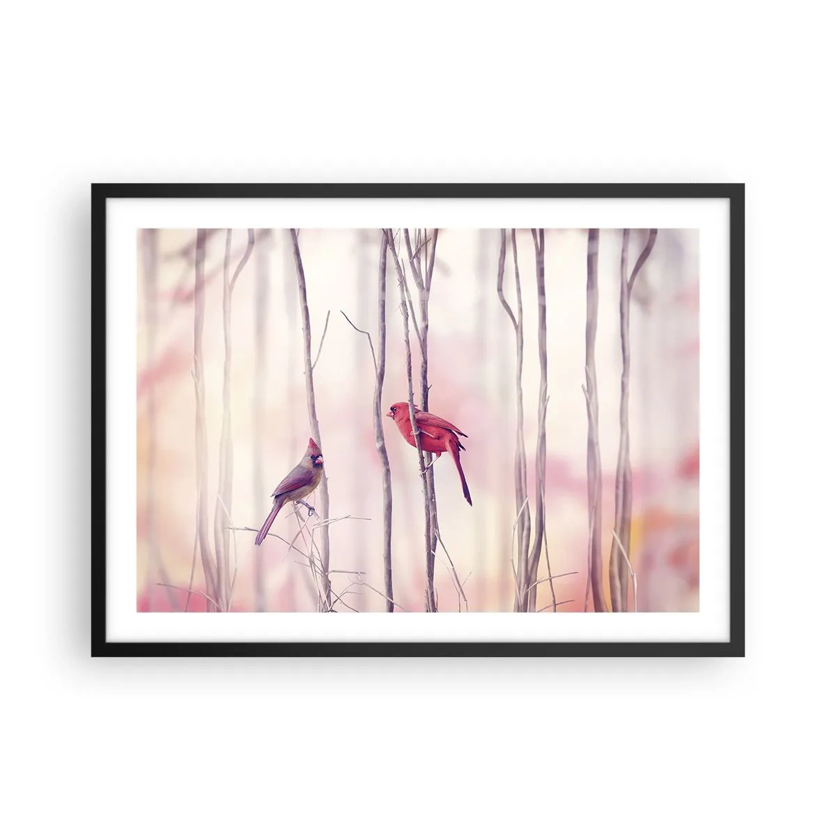 Poster in een zwarte lijst - Verhaal van het roze woud - 70x50 cm