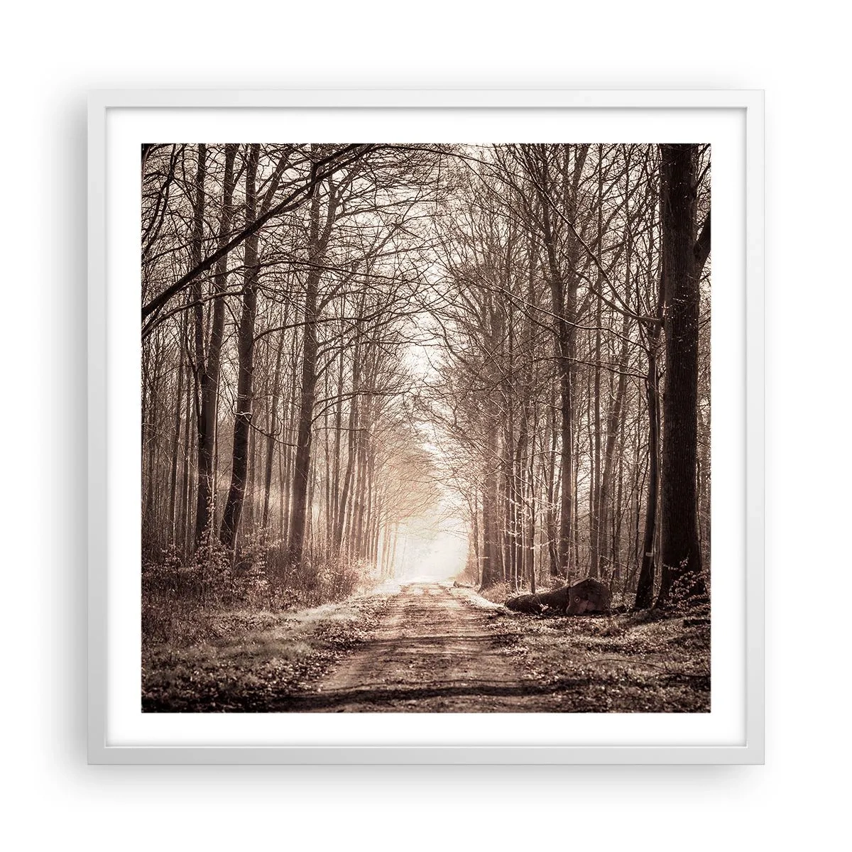 Poster in een witte lijst - Boskathedraal - 60x60 cm