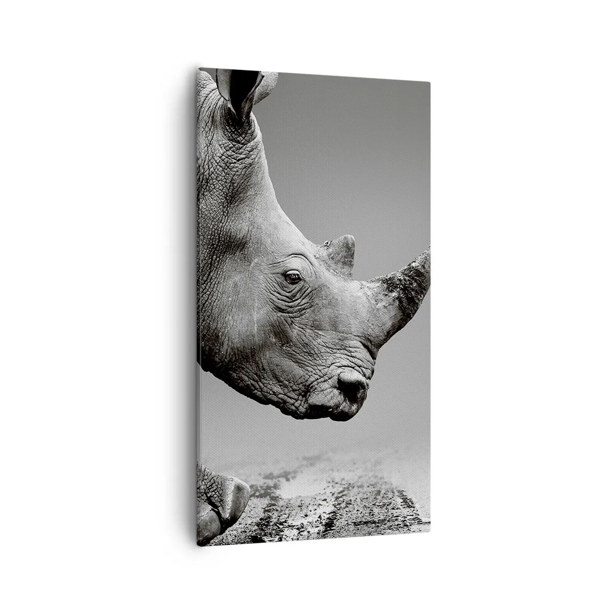 Schilderen op canvas - Onstuitbare kracht - 55x100 cm