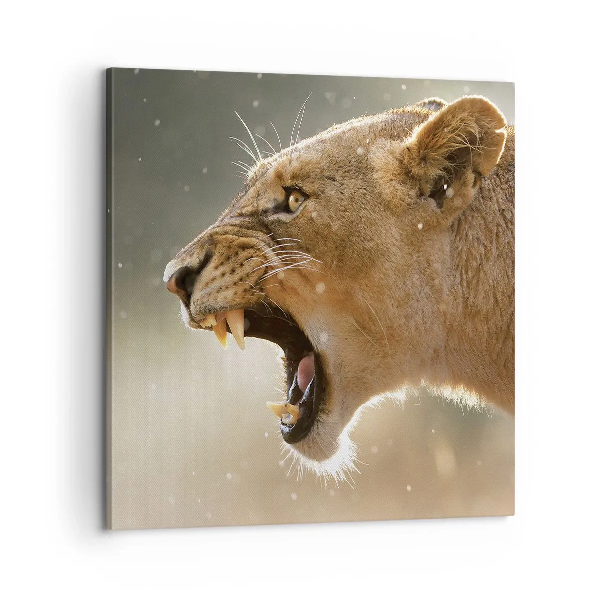 Schilderen op canvas - Probeer niet te luisteren - 60x60 cm