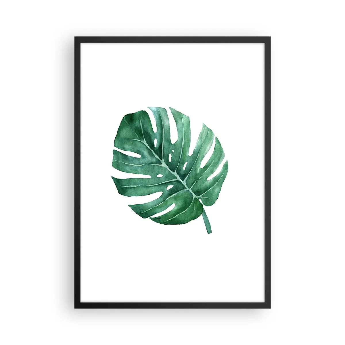 Poster in een zwarte lijst - Aquarelillustratie van een monsterablad op een witte achtergrond - 50x70cm - Groen concept - Moderne wanddecoratie voor woonkamer en slaapkamer ARTTOR