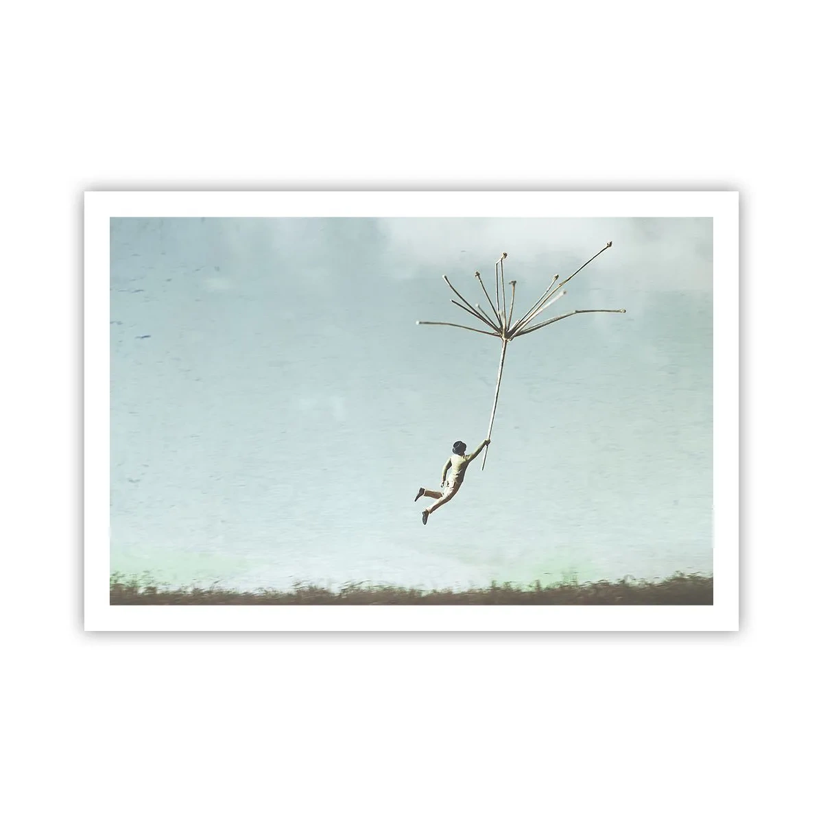 Poster - Vliegers, paardebloemen, wind - 91x61 cm