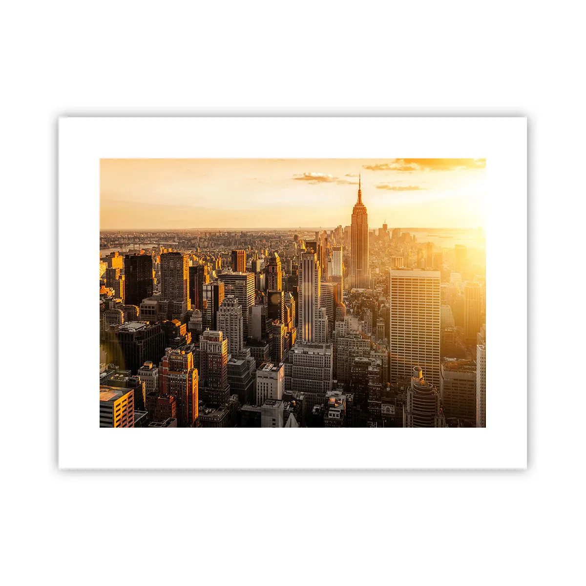 Poster - Groeien in de zon - 40x30 cm