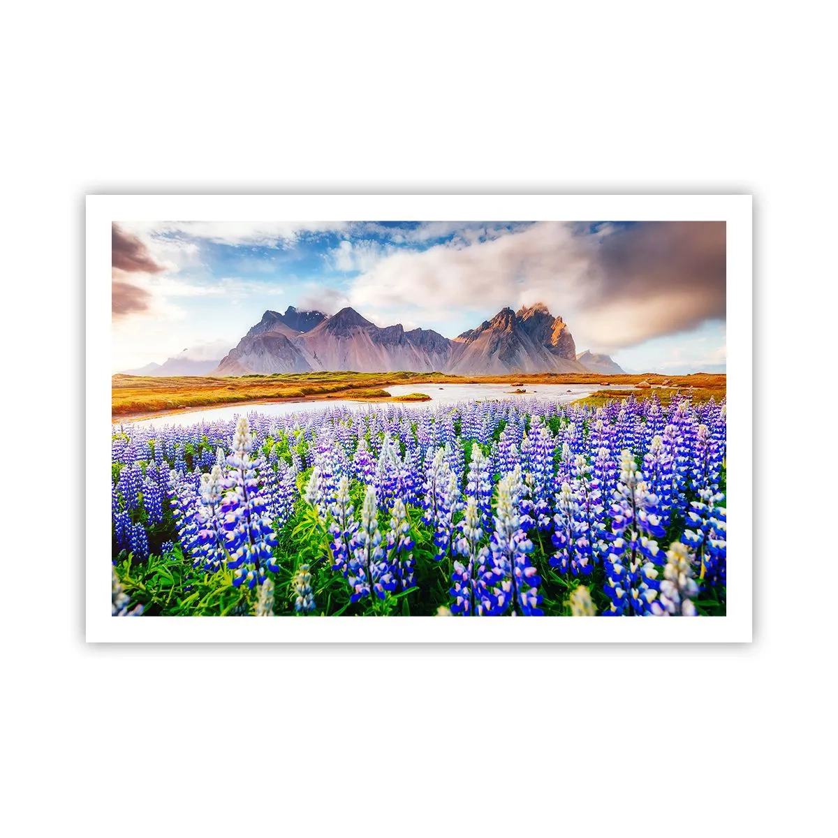 Poster - Kracht en soberheid naast zachtheid - 91x61 cm