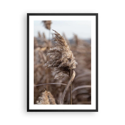 Poster in een zwarte lijst - Close-up van droog riet in natuurlijke tinten tegen de lucht - 50x70cm - Tijd om met de wind mee te gaan - Moderne wanddecoratie voor woonkamer en slaapkamer ARTTOR