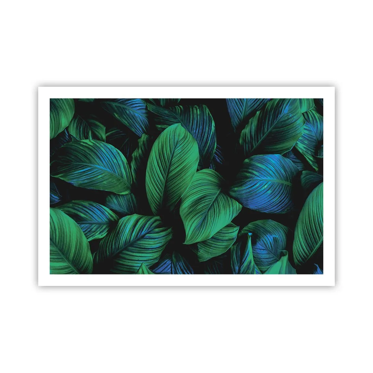 Poster - In de groene menigte - 91x61 cm